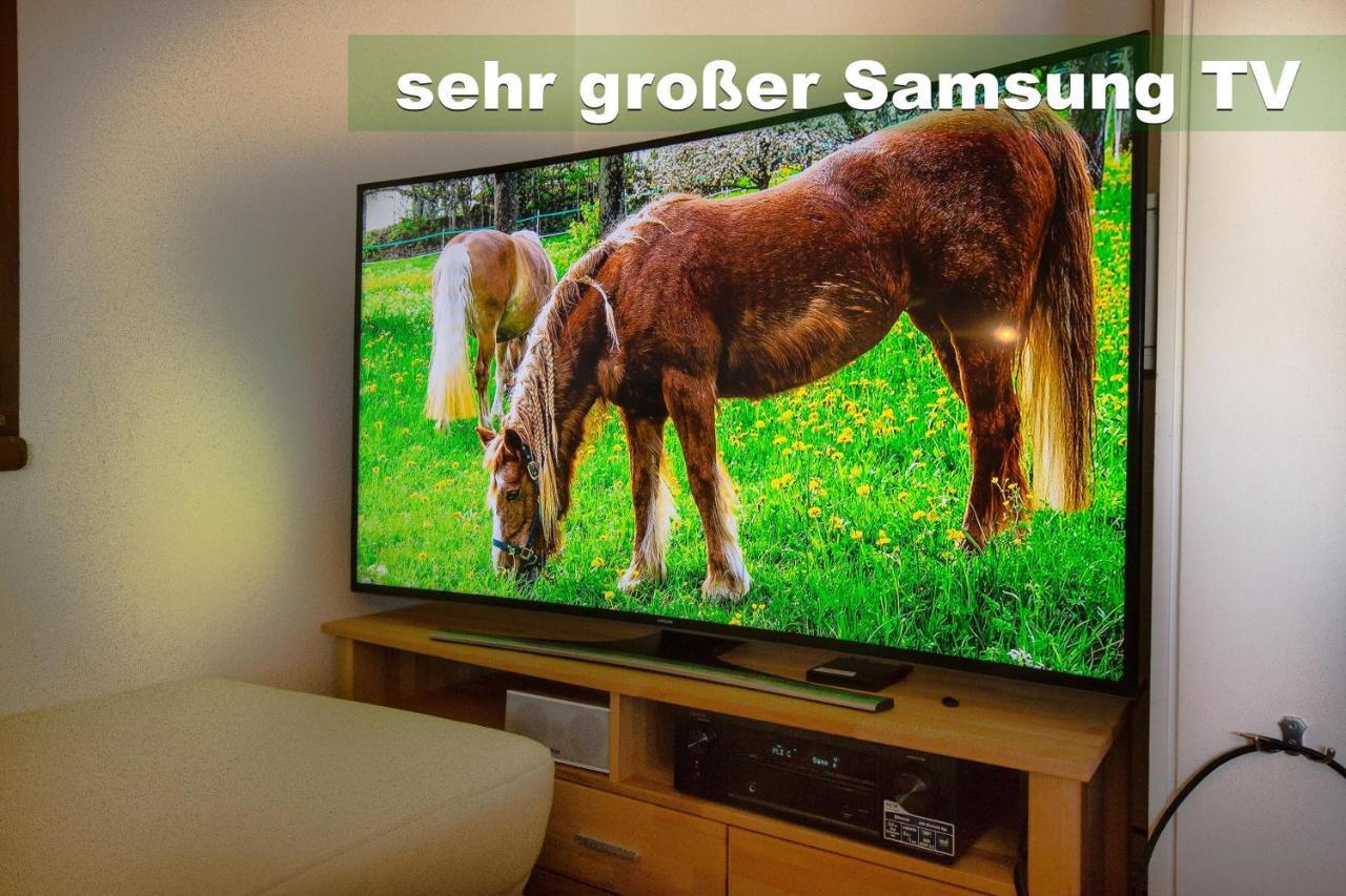 Wohlfühl-Ferienwohnung 80 qm, 8 Personen, Aussicht&Heimkino Todtnau Exterior foto