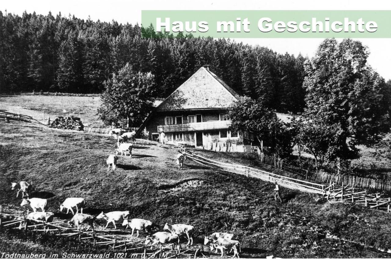 Wohlfühl-Ferienwohnung 80 qm, 8 Personen, Aussicht&Heimkino Todtnau Exterior foto