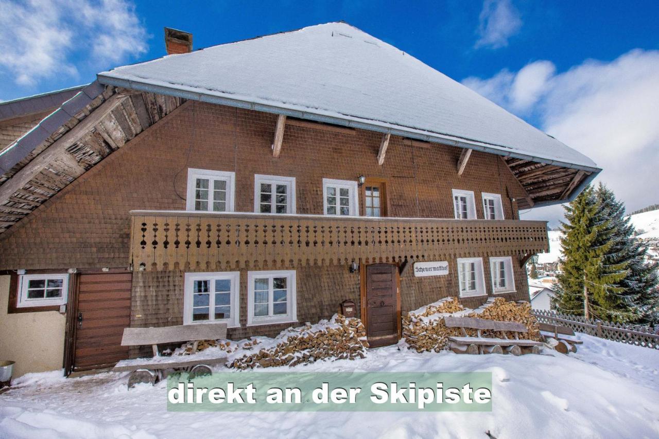 Wohlfühl-Ferienwohnung 80 qm, 8 Personen, Aussicht&Heimkino Todtnau Exterior foto